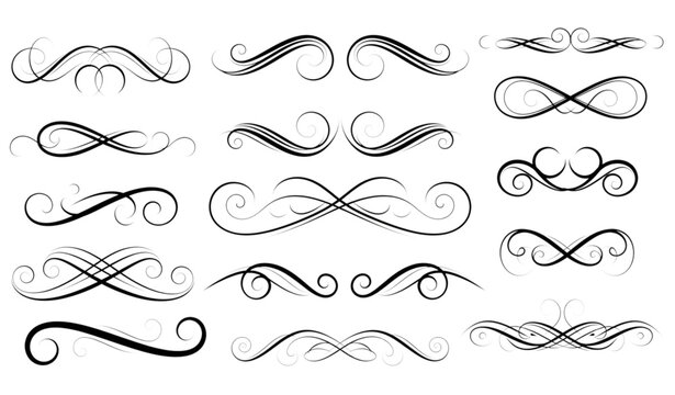 Modern ornamental swirl collection with black elegant curls and decorative scrolls vector design