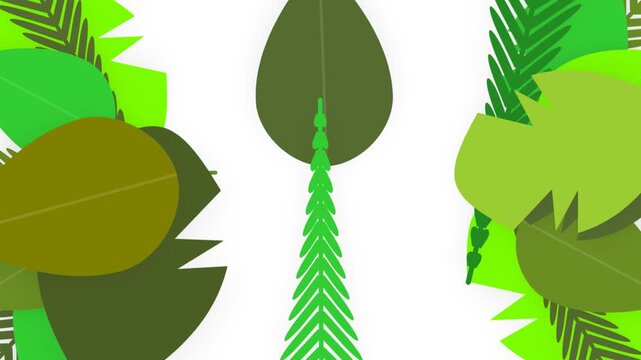 Minimalist Flat Design Tropical Leaf Foliage Border Background on White with Stylized Green Jungle Plants for Eco Branding