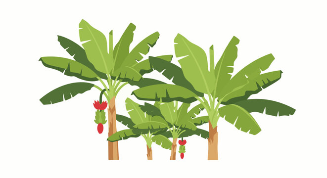 A cluster of stylized banana trees with green leaves and red fruit