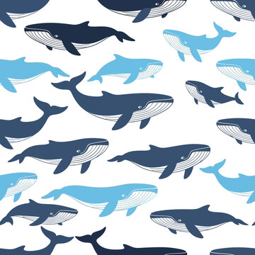 Seamless Blue Whale Pattern Vector Illustration for Marine Background