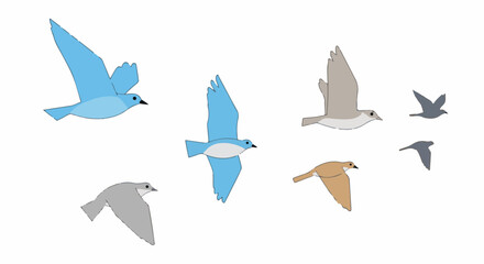Fototapeta premium A collection of digitally rendered birds in various flight poses, colored in blues, grays, and tan