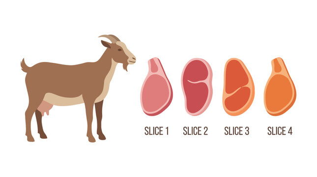 An illustration of a goat standing next to four slices of meat labeled slice 1 to slice 4 showcasing food and animal.
