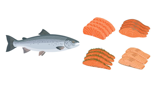 Fresh salmon fillets and a whole fish on a plate for a seafood meal indoors.