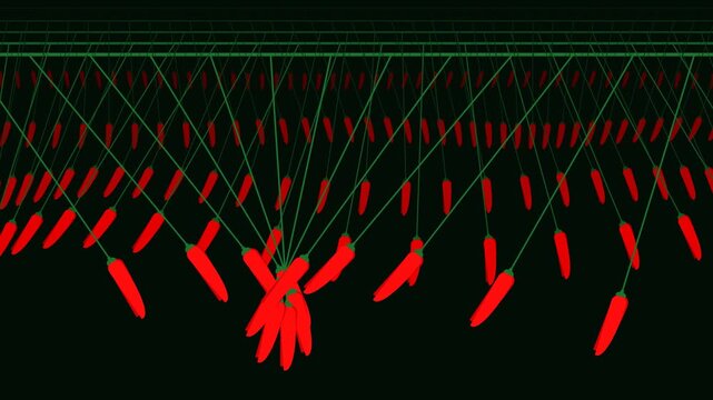Red Chili Peppers Hanging on Green Strings Swinging in Wave Pattern Animation on Black Background