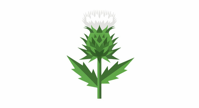 A stylized illustration of a thistle plant with a white flower head