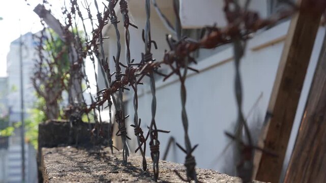 Barbed wire is attached to a fence structure mounted along a wall forming a protective line with sharp twisted metal strands used for security purposes. Industrial security.