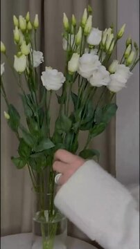Arranging White Tulips and White Roses in Clear Glass Vase with Elegant Aesthetic Style