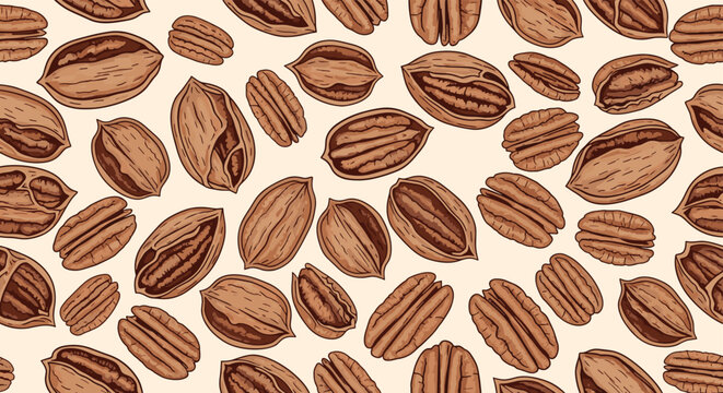Seamless pattern of various pecan nuts in shell and cracked open showing the kernels for a natural food themed background or wrapping.