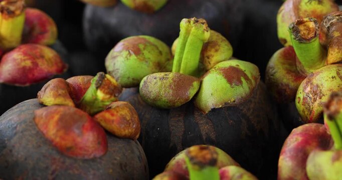 Video of neatly arranged mangosteens, fresh tropical fruits displayed in an aesthetically pleasing pattern, vibrant purple shells with green stems, visually appealing composition