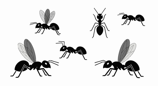 Diverse cartoon-style ants, some winged, displayed against a white background