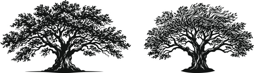 Majestic Tree Silhouette Collection with Detailed Branches for Nature Landscape and Botanical Graphic Design Projects © GeetaRani