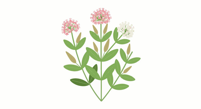 Gentle pink and white flowers bloom on green stalks with sepals