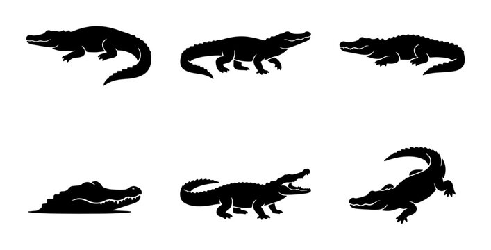 Alligator Silhouette Collection, Reptile Vector Icons, Wildlife Animal Graphics, Swamp Creature Set, Black and White Illustration