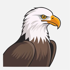 Obraz premium Bald Eagle Illustration