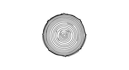 Fototapeta premium Tree Stump Cross Section View.