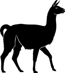 Fototapeta premium Standing Llama Silhouette - Farm Animal Profile Vector Illustration