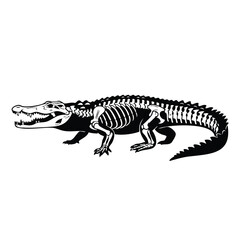 Fototapeta premium Crocodile reptile silhouette with visible skeletal anatomy illustration art.