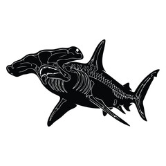 Fototapeta premium Graphic silhouette of hammerhead shark featuring visible skeleton anatomy.