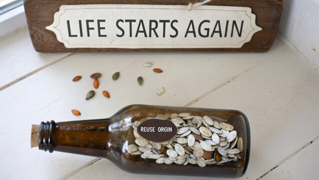 Reuse Origin Bottle with Seeds Under Sign Life Starts Again on Wooden Surface for Eco-Friendly and Sustainable Living Inspiration