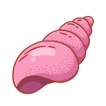 A pink cartoon conch shell illustration