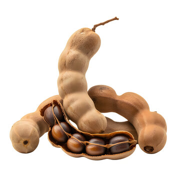 Tamarind pods with seeds isolated on transparent background
