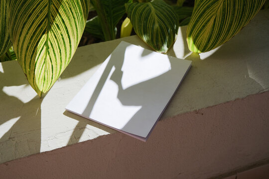 magazine mockup on tiled background with Canna generalis leaves