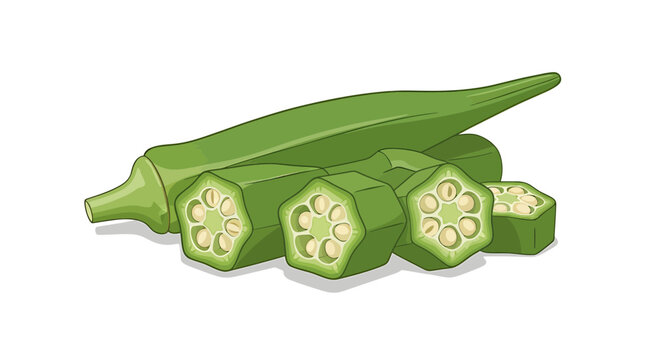 Fresh green okra vegetable with sliced pieces and seeds
