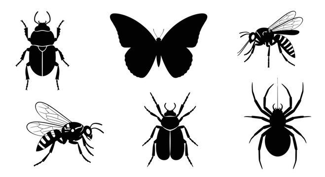 Insect Silhouettes Collection: Butterfly, Beetle, Wasp, Spider Icons