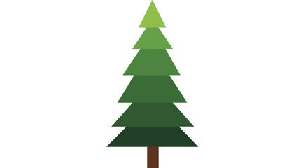 Obraz premium Green Pine Tree Evergreen Forest Foliage.