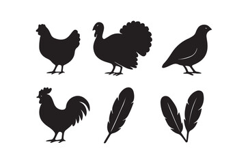 Obraz premium Bird silhouettes collection with rooster hen turkey and feathers