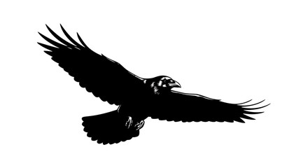 Obraz premium Flying Raven Silhouette with Spread Wings Soaring in the Air