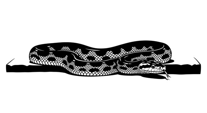 Scaled reptile slithering with flicking tongue silhouette