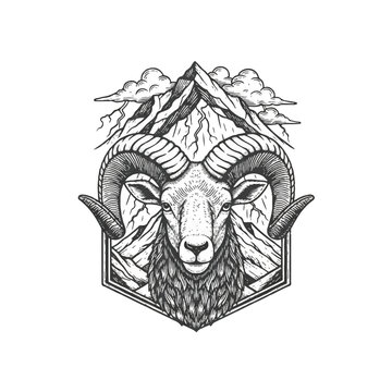 Detailed illustration of a rams head 1.