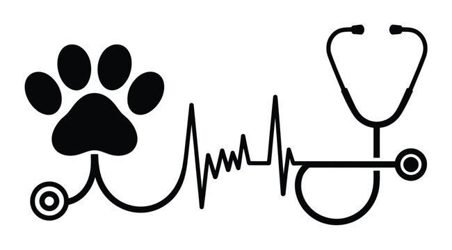 Veterinary Medicine Vector Illustration with Stethoscope and Paw