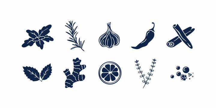 Hand drawn spice and herb illustrations with botanical elements on a white background