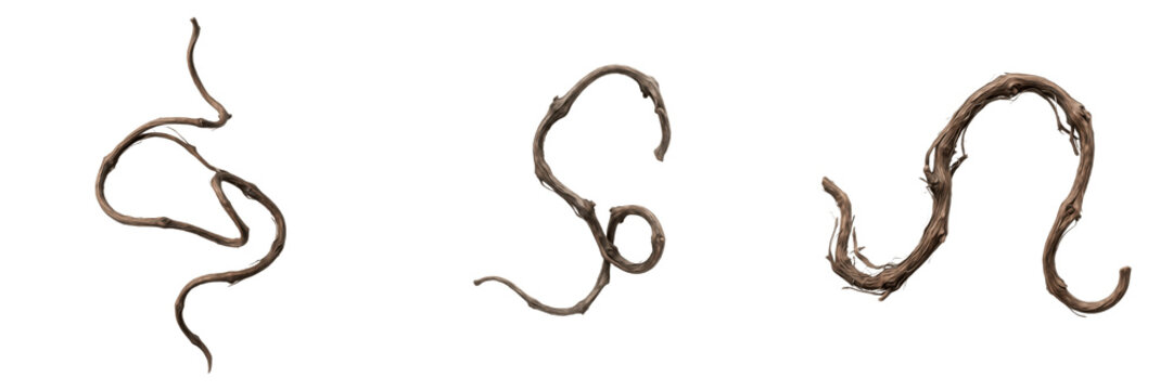 Single Wiggling Earthworm PNG - Soil Bait for Fishing, Garden Worm Biology Clipart