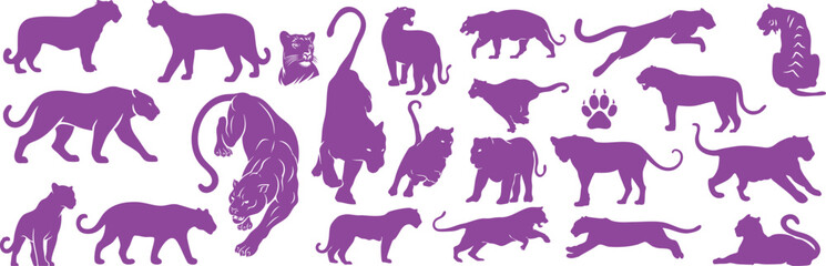 Violet jungle animal panther, tiger, leopard silhouette vector set with safari wildlife icons and hand drawn wild creature illustrations © Ms Rozi