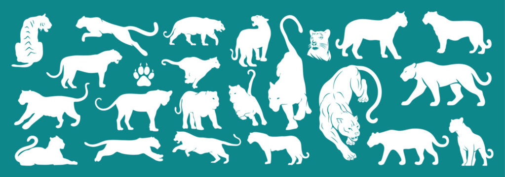 Light cyan wild animal panther, tiger, leopard silhouette vector pack with jungle creatures and safari wildlife icons, hand drawn illustration set on Cyan background