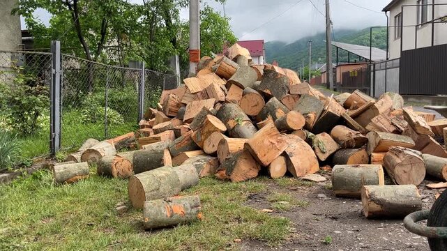 logs as timber raw material for processing