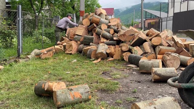 rural routine with large firewood pile
