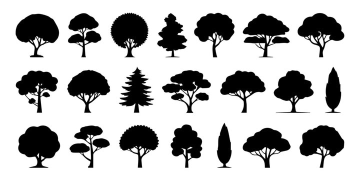 various deciduous trees silhouettes on the white background. vector set. PNG white background, Collection of various black silhouette trees including deciduous coniferous and ornamental types, conifer