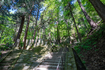 Obraz premium Stone Temple Stairs Lined with Buddhist Stone Statues and Grave Markers in Cedar Forest
