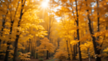 Fototapeta premium Golden autumn forest, sunlit trees with yellow leaves