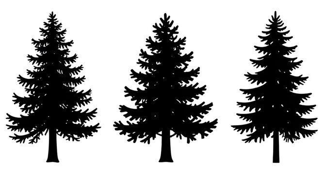 pine, fir, spruce, tree, silhouette, black, forest, evergreen, nature, woodland, conifer, landscape, vector, illustration, outdoor, winter, foliage
