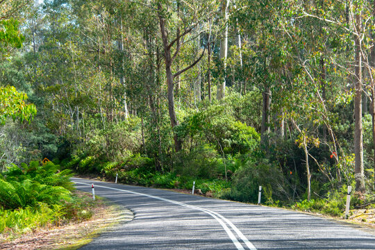 Lyell Highway A10 in Tasmania - Australia