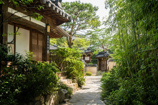 한옥과 마당, 숲