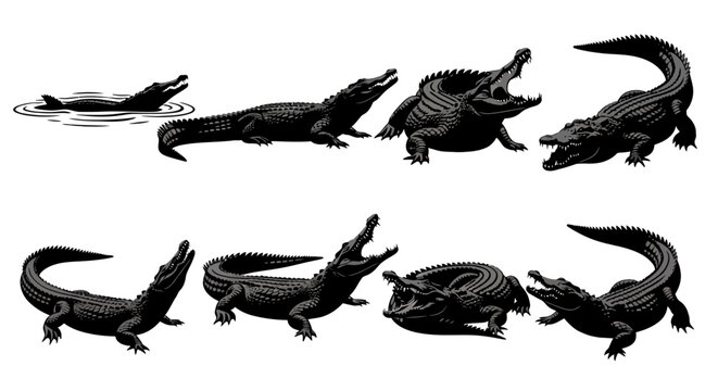 Eight black crocodile sculptures are on display on a white surface in a row.