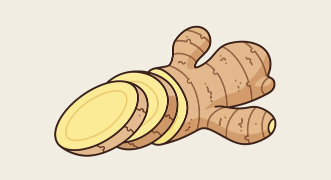 Stylized organic ginger root with halftone pattern texture