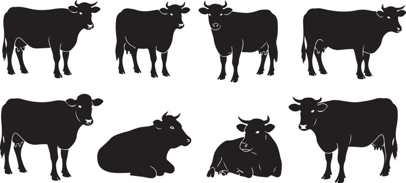 Black cow silhouettes standing and lying down