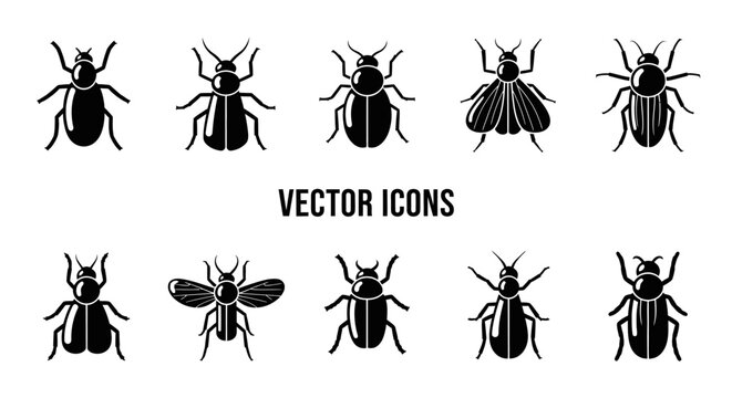 Black insect vector icons various bug silhouettes for design
